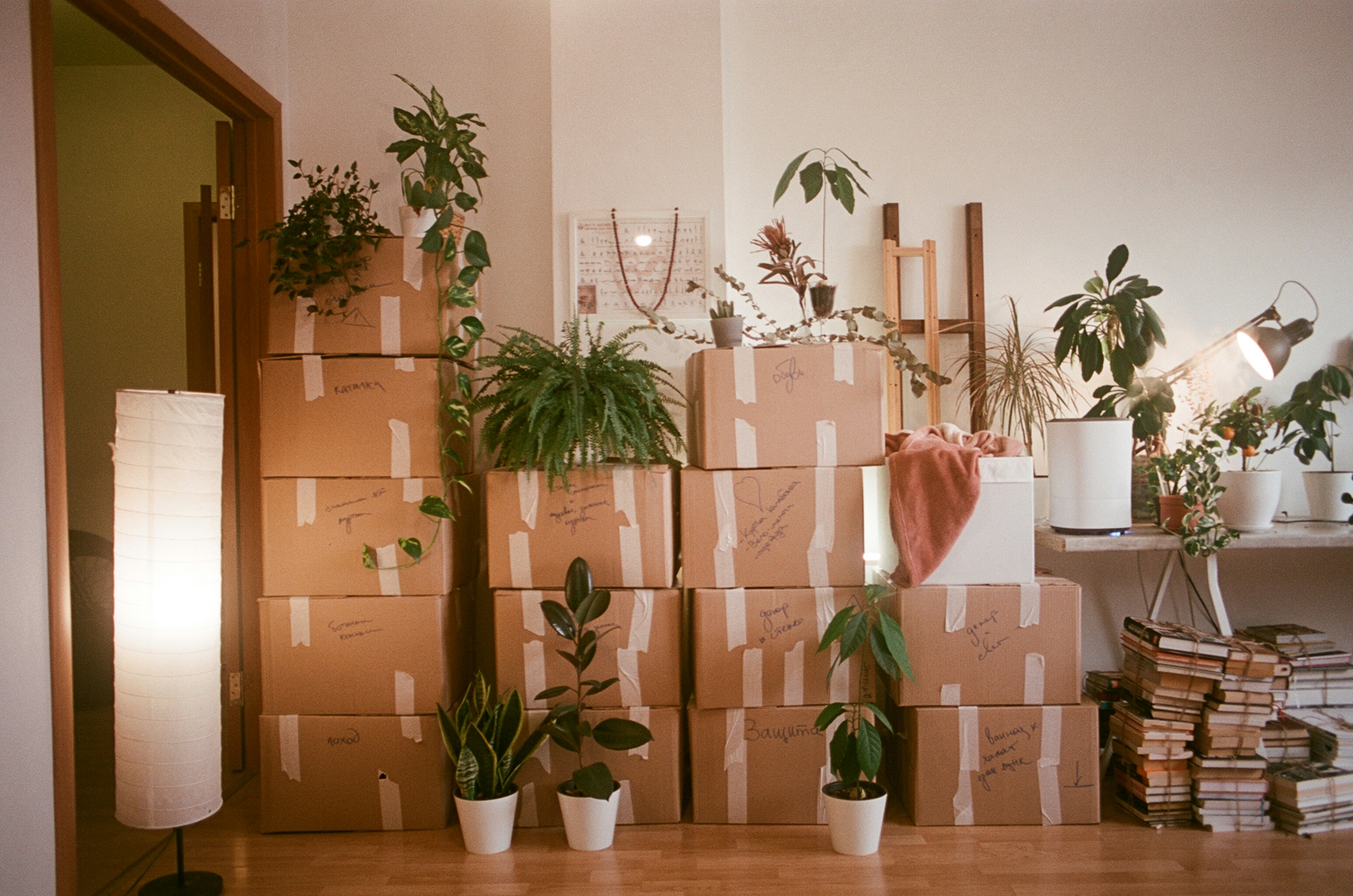 Boxes ready for moving