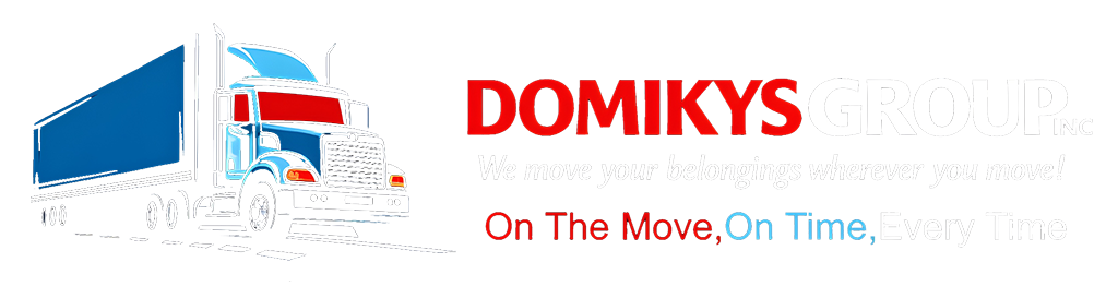 Domikysgroup logo