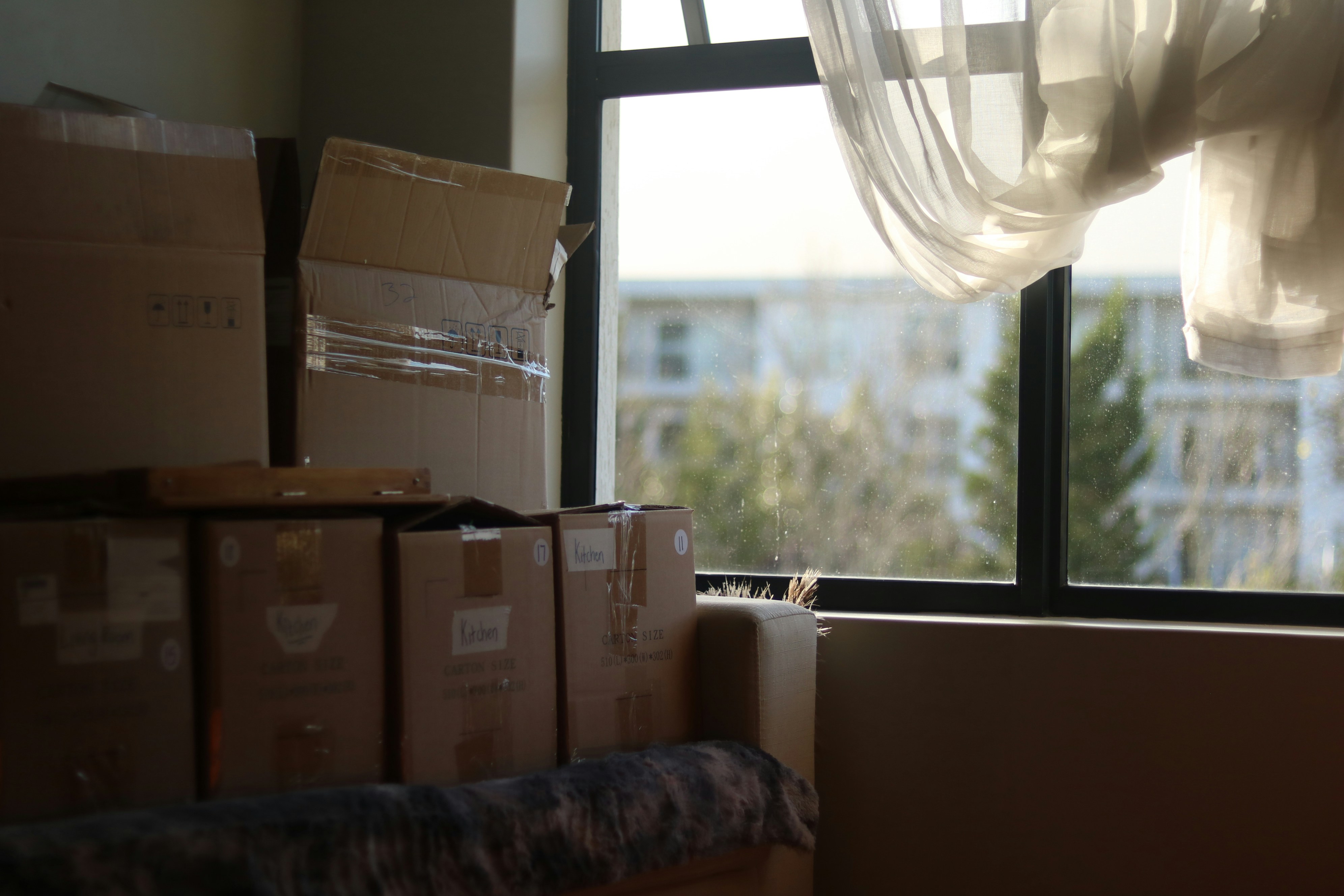 Packed box for moving